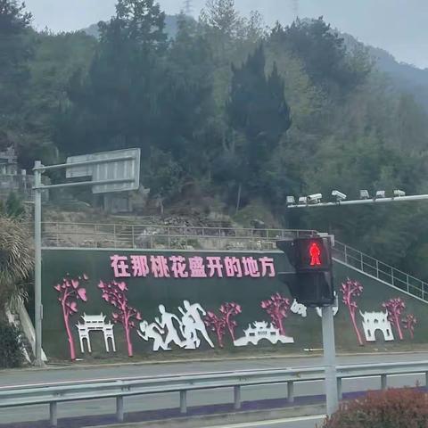 踏上"桃花盛开的地方"……