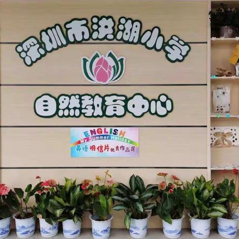 五月“荷”香追梦行  跟岗研修促提升——赴深圳市洪湖小学跟岗研修纪实