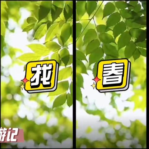 “趣”春游活动