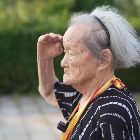 影珠山上的军礼：抗战伉俪李淑芳、杨世英的百年掠影