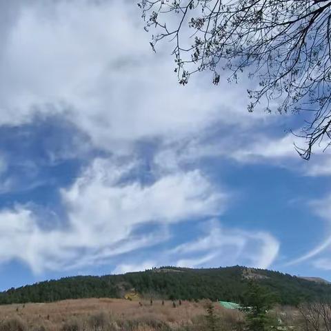 【先锋龙洞】综合执法办启动大风天气工作预案，多举措保障空气质量
