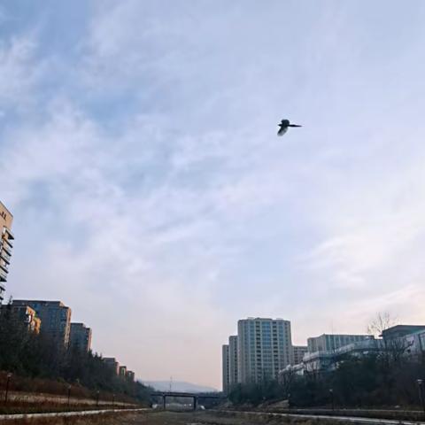 【先锋龙洞】综合执法办积极参加济南市生态环境局历下分局组织的第一季环保网格培训会