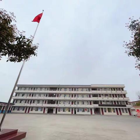 聚焦习惯培养 共促学生成长——小学数学第三协作区集中教研活动