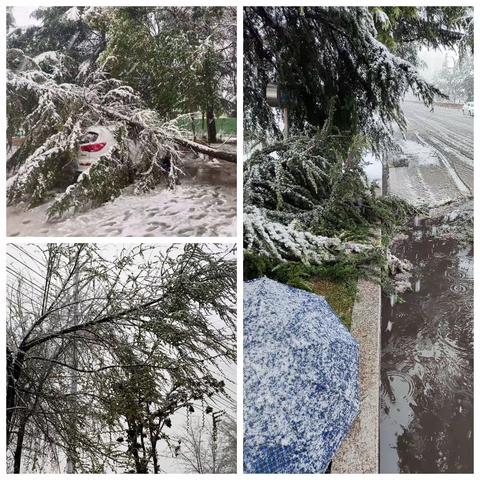 闻雪而动，为安全保驾护航