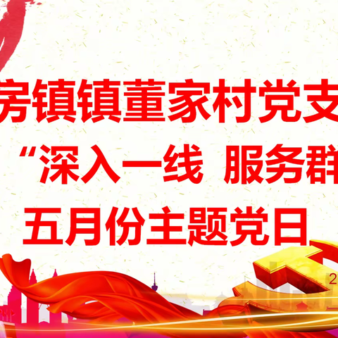房镇镇董家村党支部开展2023年5月份“深入一线 服务群众”的主题党日