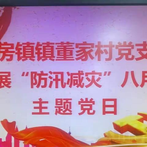 房镇镇董家村党支部开展2023年8月份“防汛减灾”的主题党日