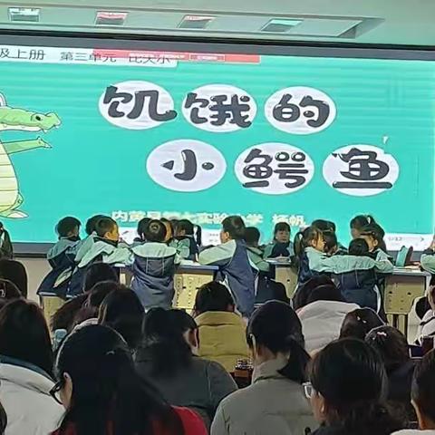 聚焦单元教学，落实学科育人——“大单元下数与代数课堂教学”校本教研展示课