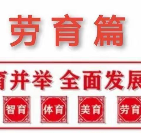 劳动育美，实践促成长————孙甘店镇中心小学劳动实践片段