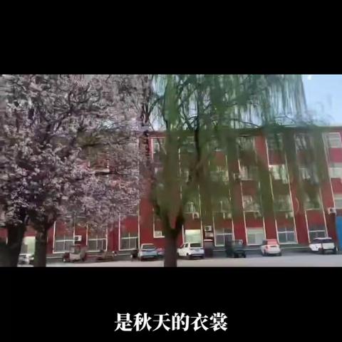 获嘉新时代学校🍎六二班🍎第六周周报