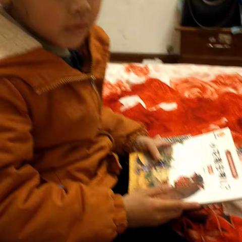 南街幼儿园大一班向文宇亲子阅读