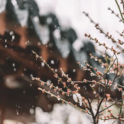 风雪上门解难题 为民办事暖人心--农行潼关城关支行