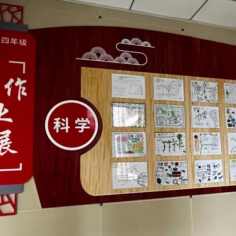 【二实小·作业篇】行远自迩，笃行不怠——三四年级科学精品作业展