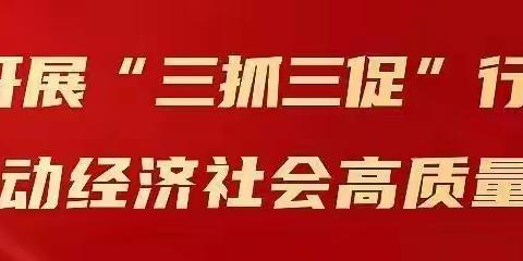 【“三抓三促”行动进行时】公用局:维修路灯添光明 安全出行暖人心