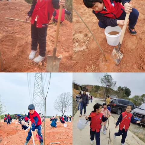“学习雷锋精神，争做新时代雷锋星少年”——大同星沙小学2101班植树活动