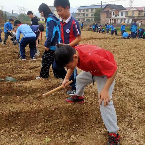 手植绿意，拾趣春光