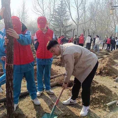 植一抹青绿  树一方桃李——邢台市第七中学组织学生参加义务植树活动