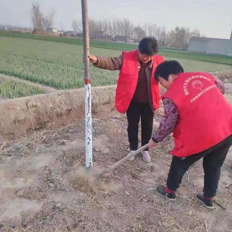 【学雷锋志愿服务】【新时代文明实践】【倡树美德健康生活方式】“植一棵树 绿一方土”植树节活动