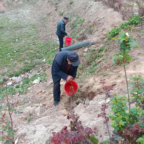 【新时代文明实践】【倡树美德健康生活方式】大义镇开展绿化村庄活动