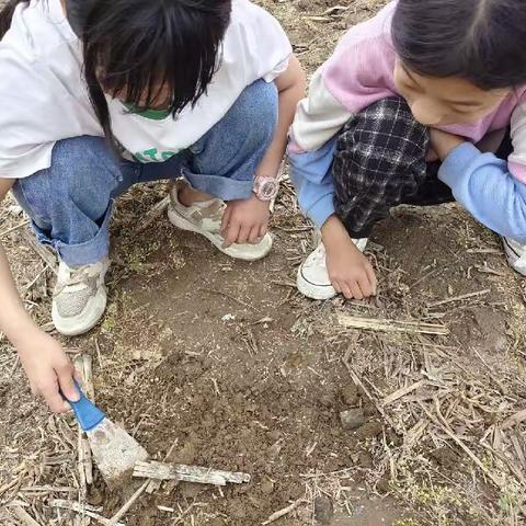 关爱学生成长——走进大自然