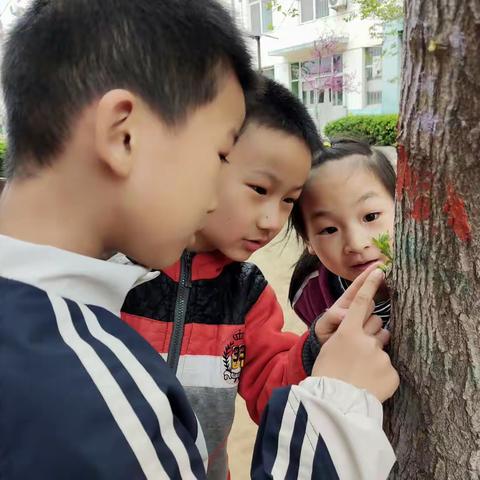 生命的力量之幼儿自身生命力