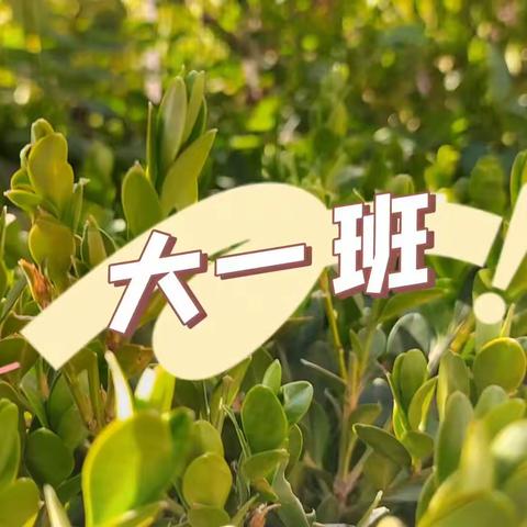 【大一班芒果老师】我们的最美时光