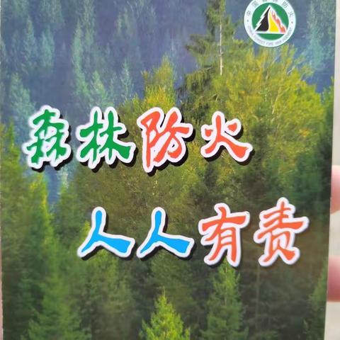 金江镇2023年森林防灭火宣传工作