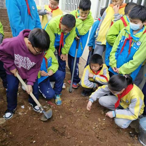 “蔬”香伴我行，劳动促成长——钟山区第十小学劳动实践基地活动