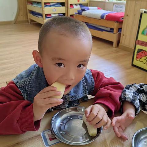 特蕾新丽江幼儿园总园小B班