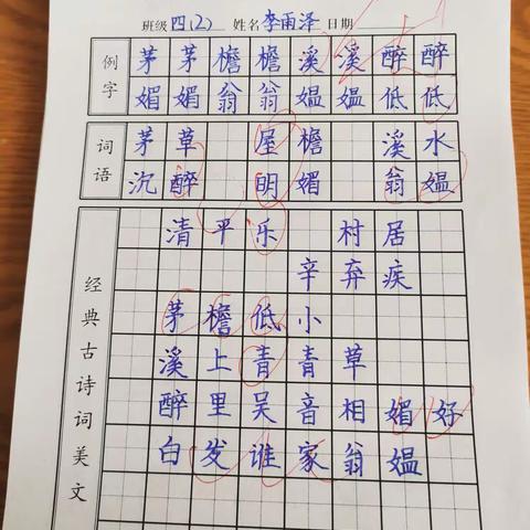 自小多才学，平生志气高；别人怀宝剑，我有笔如刀。林州市第二实验小学四（2）班书法展示