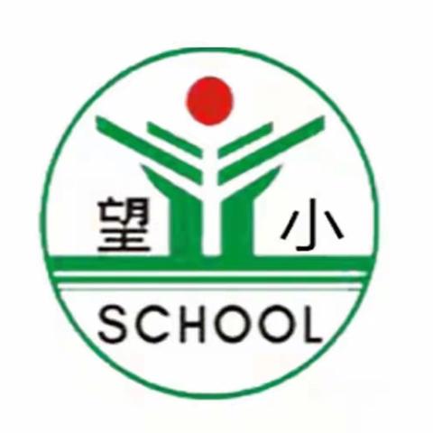 【望仙小学】翰墨书香，立志立人——开展“写好字”活动（五）