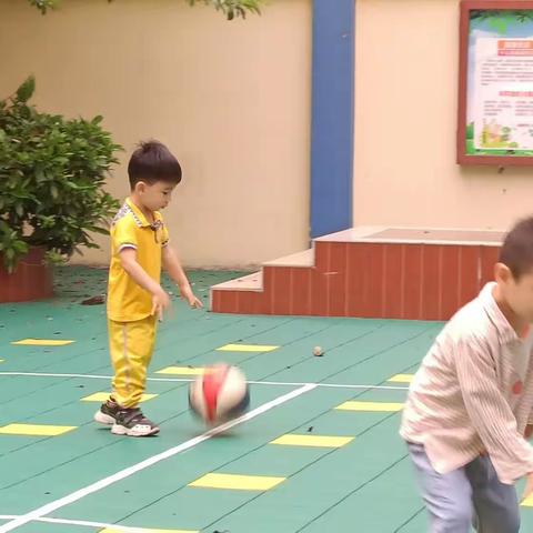 育智幼儿园春季中班第十一周美篇