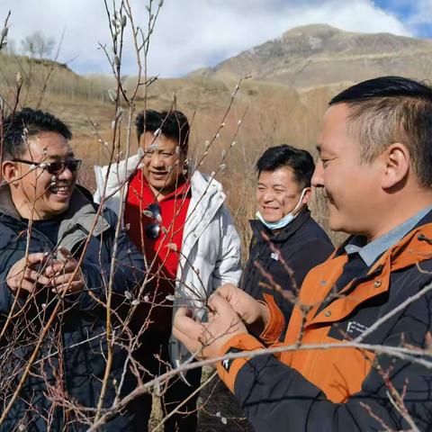 泽库县自然资源和林业草原局一周工作动态（3月13日至3月17日）