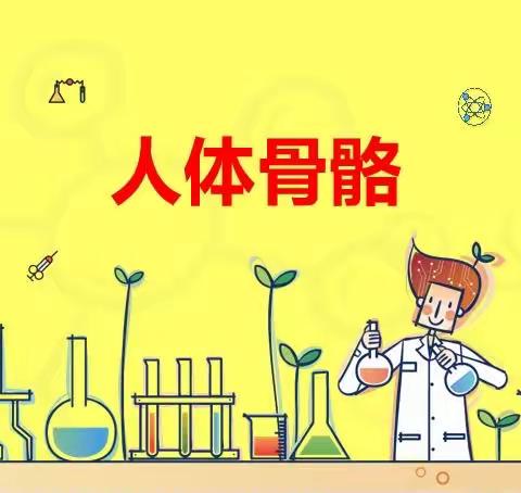 🔬科学中班课程3：《人体骨骼》