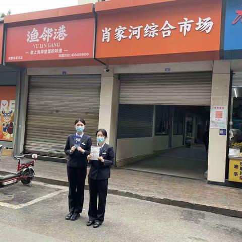 春风抚柳艳阳日，市场强基正当时