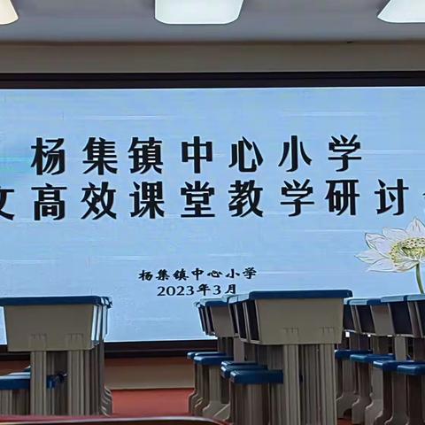 聚焦新课标，赋能共成长