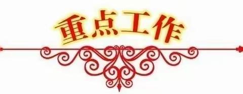 苗庄镇3月17日工作动态