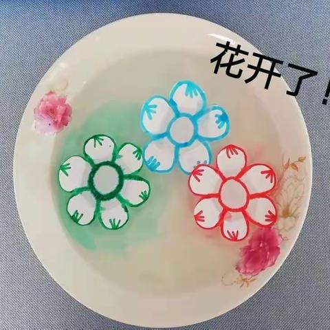 科学小实验《水中飘花》