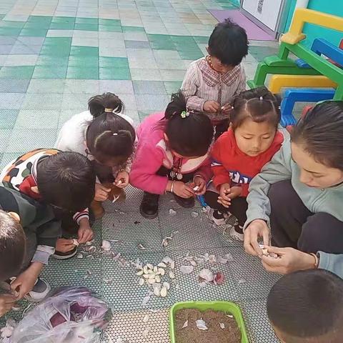 植树节———“六一”潜能幼儿园