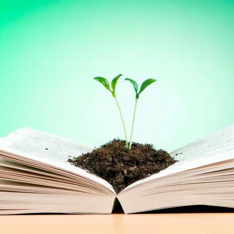 我在寒假里的阅读