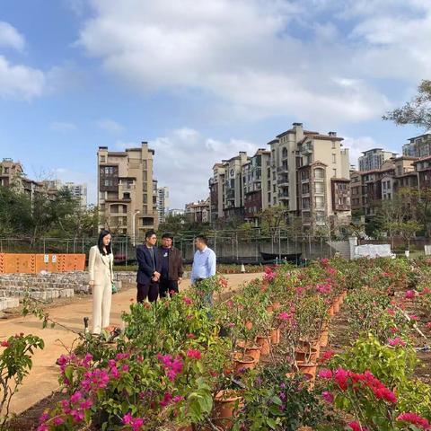 秀英区园林局：精耕苗圃育苗建设，筑牢“绣花”供给底色