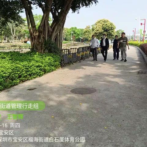 植树还绿