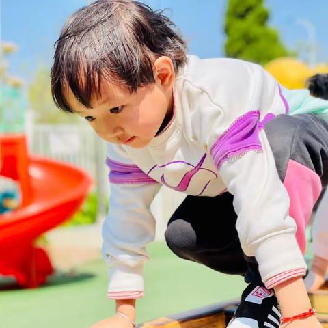 麒麟区清华苗幼儿园朵朵三班（2023.4.15）美篇分享💕