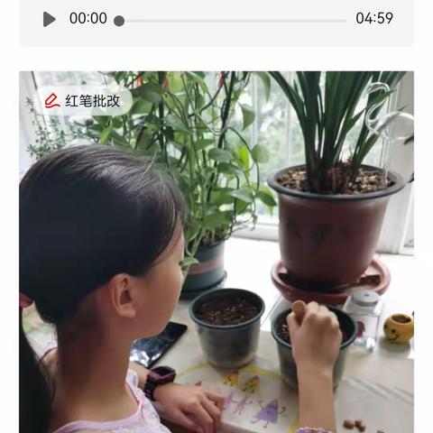 科学实验植物需要水分吗？