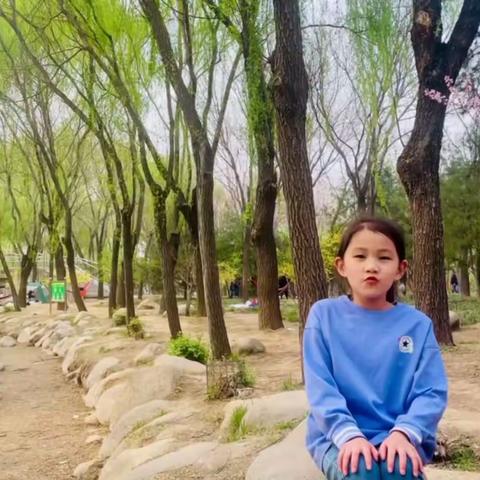 「周记·大四班」—又是一清明