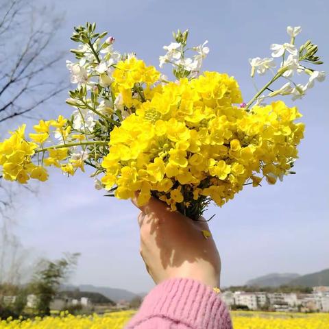 佳禾幼儿园中一班手工制作《爱心油菜花》