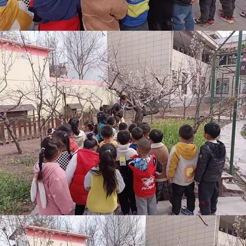 阳春🌸三月☀️，快乐😍出发📸---中一班一周精彩瞬间