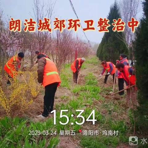 阳光.朗洁集团洛宁县分公司城郊乡区域人居环境集中整治周报（77）多云