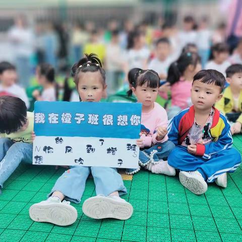 七巧板幼儿园橙子班第十七周周报