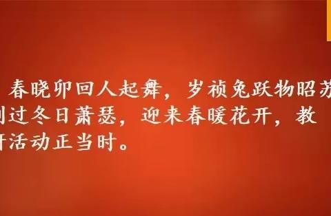 百花齐放展风采，踔厉奋发强内涵——大武小学数学教研组2023年春同课异构听评课活动纪实