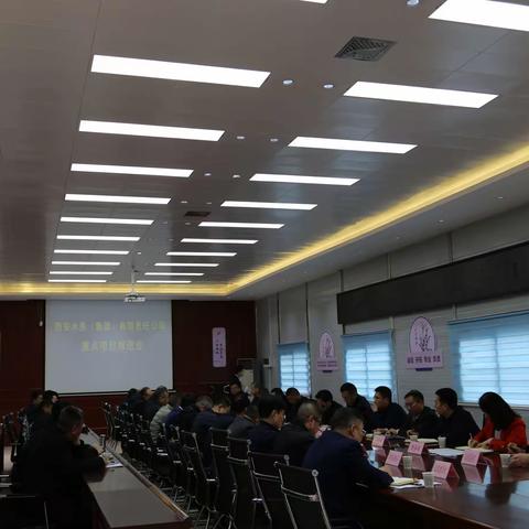 集团公司召开重点项目推进会